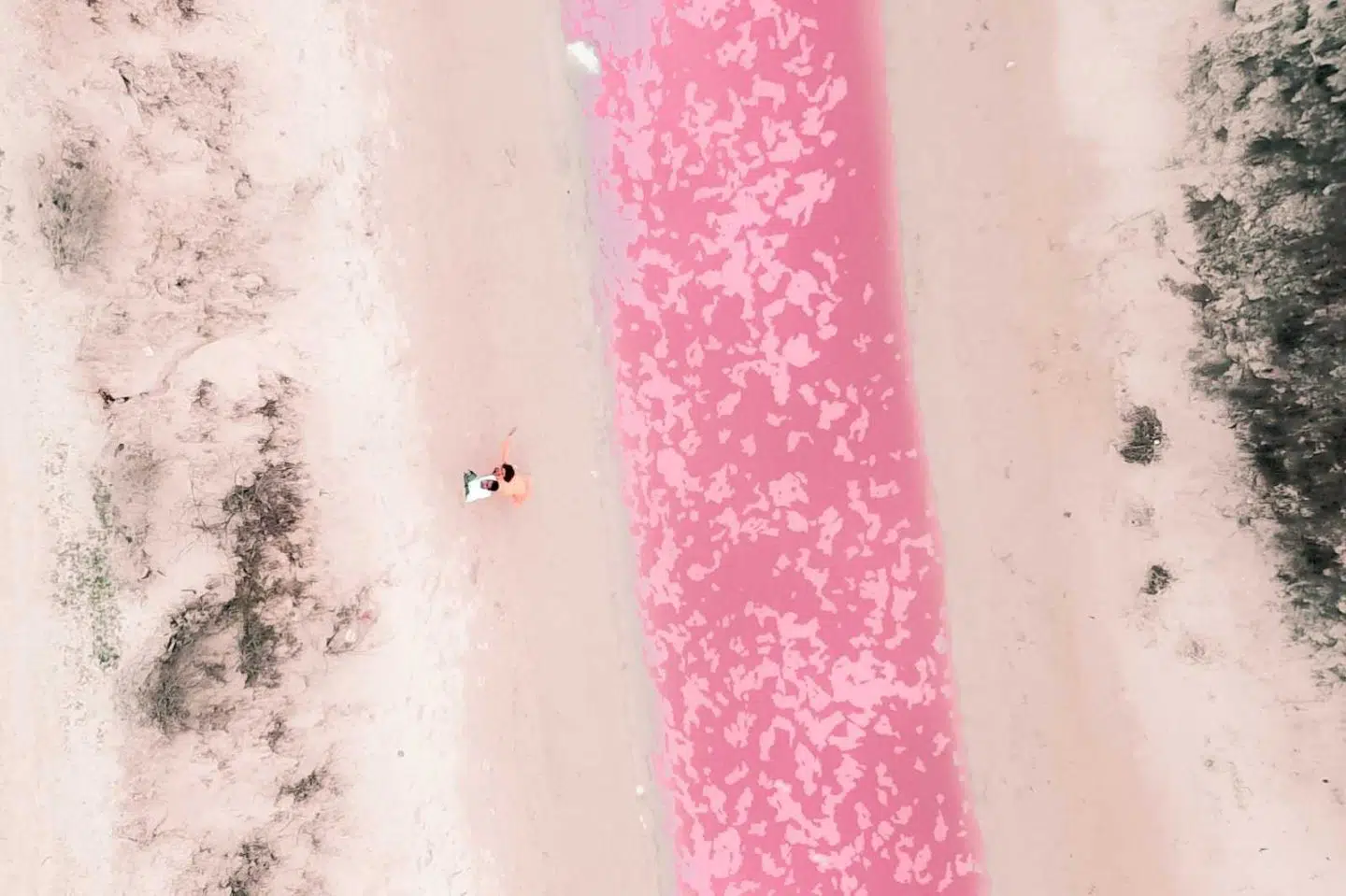 drone shot of pink lake in los coloradas mexico