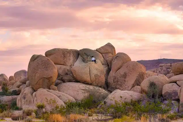 rock climbing in joshua tree national park bouldering wewanderlust.co