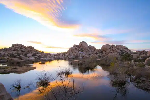 top things to do in joshua tree wewanderlust.co