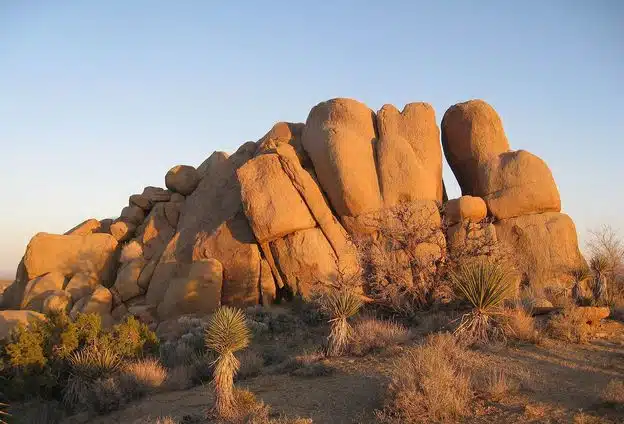 jumbo rock campground in joshua tree national park