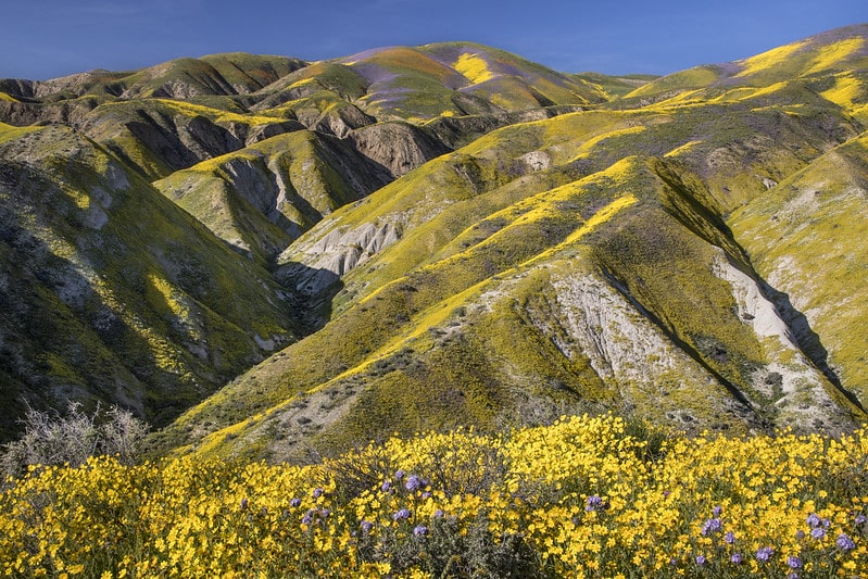 CARRIZO PLAIN NATIONAL MONUMENT where to find superbloom wewanderlust.co
