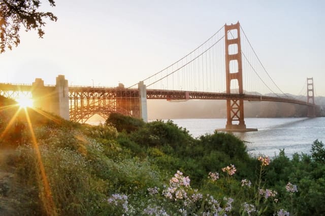23 Free Things to Do in San Francisco: A Guide for Budget-Conscious Travelers