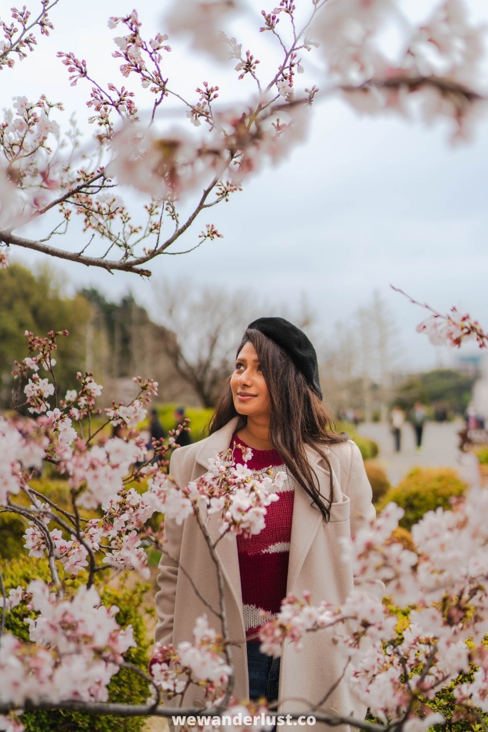 woman standing by cherry blossom tree in japan