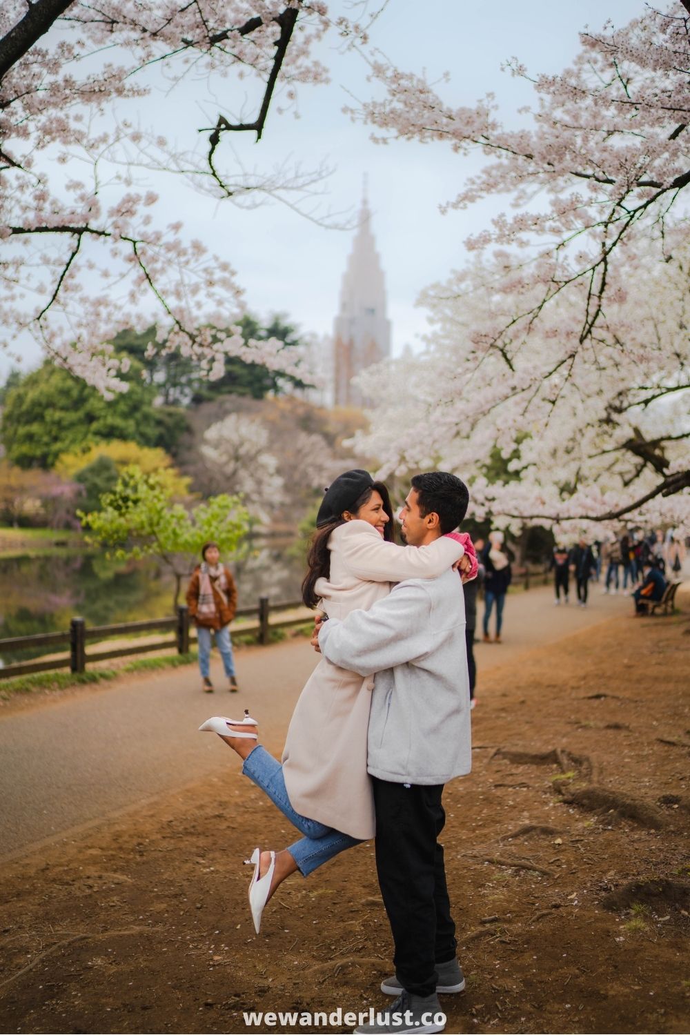 japan tourism cherry blossom festival
