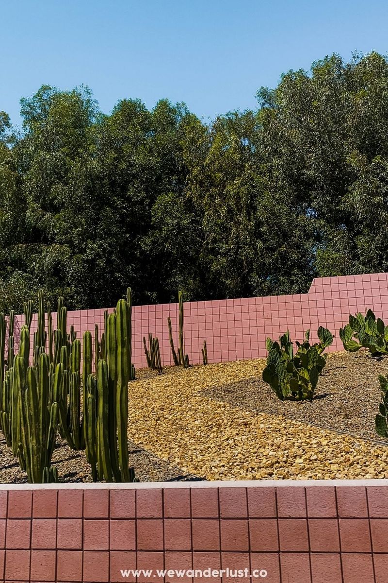 photo of pink tiles and cacti on wewanderlust.co blog