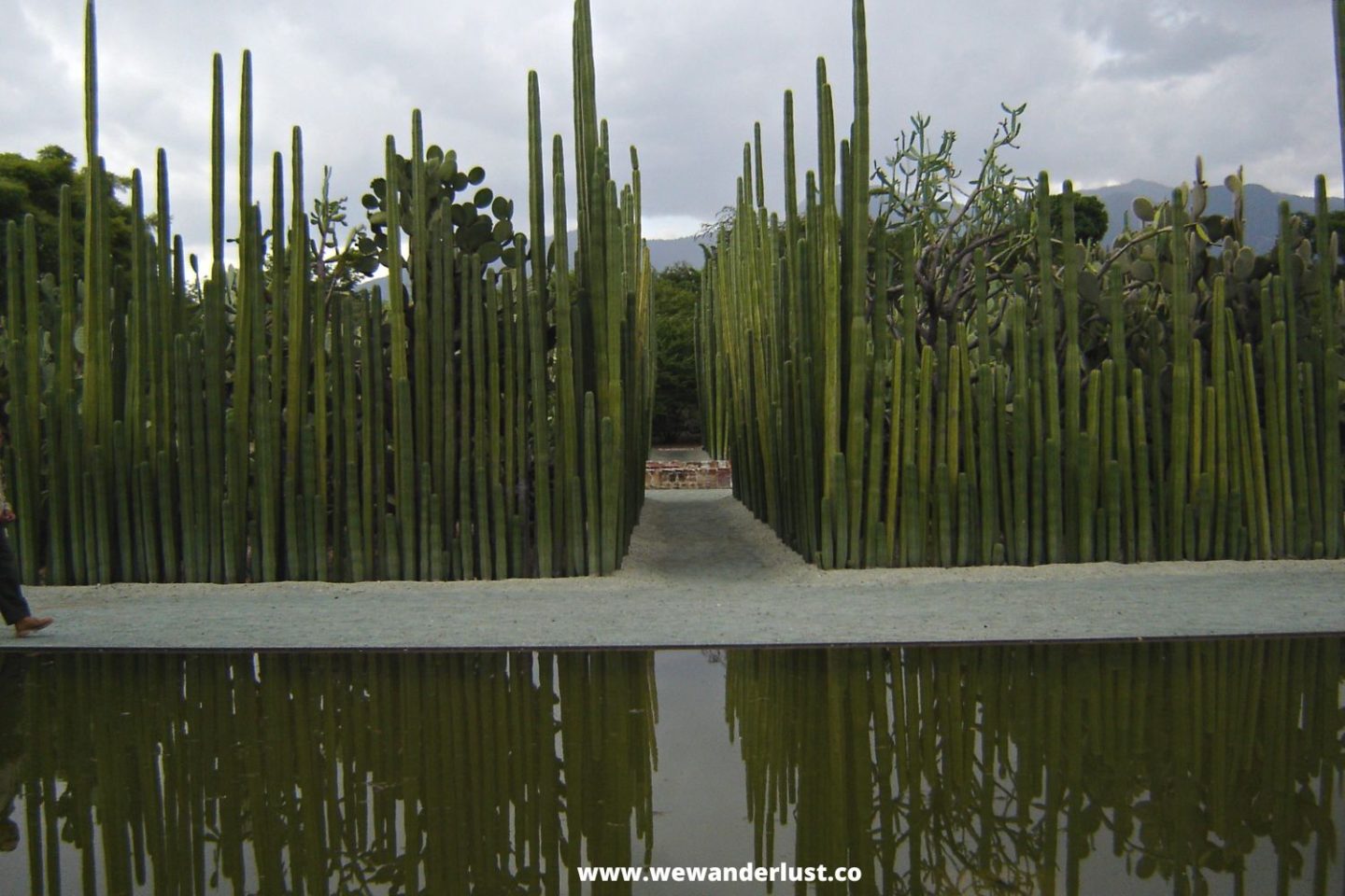Jardín Etnobotánico de Oaxaca top things to do in oaxaca mexico