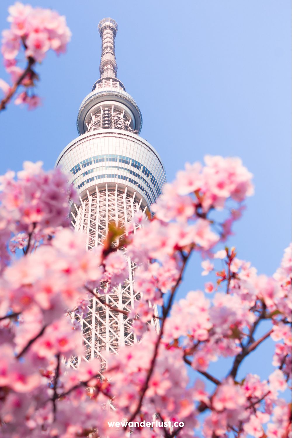 view of tokyo tower through cherry blossom trees wewanderlust.co