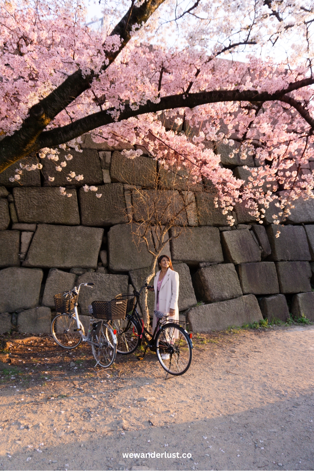 woman standing under cherry blossom tree in japan