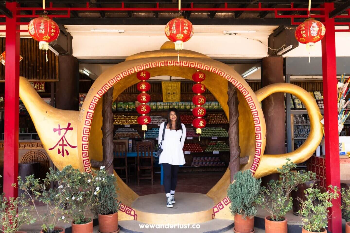 woman standing under chinese lanterns
