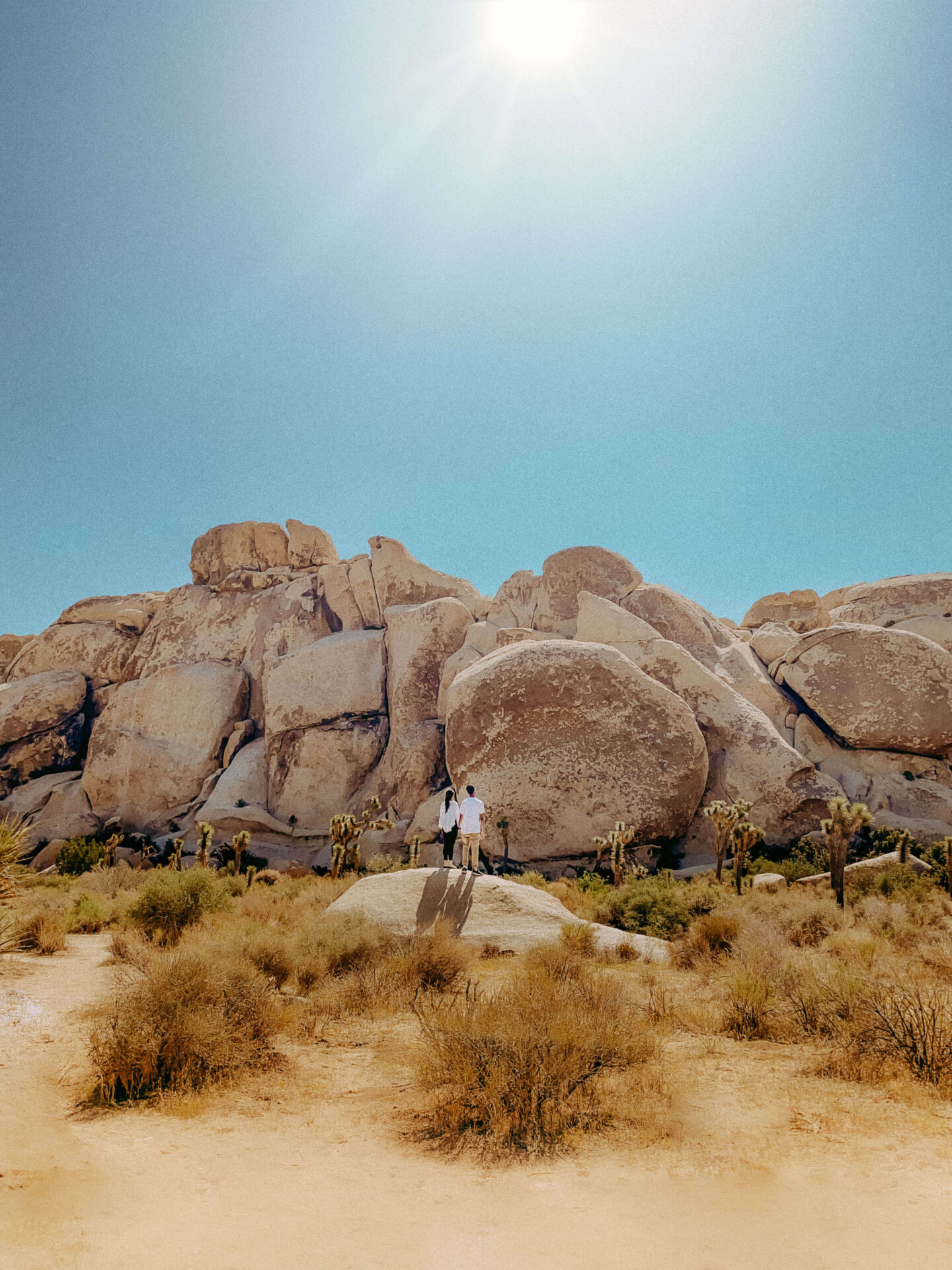 couple-standing-on-rock-at-joshua-tree-national-park