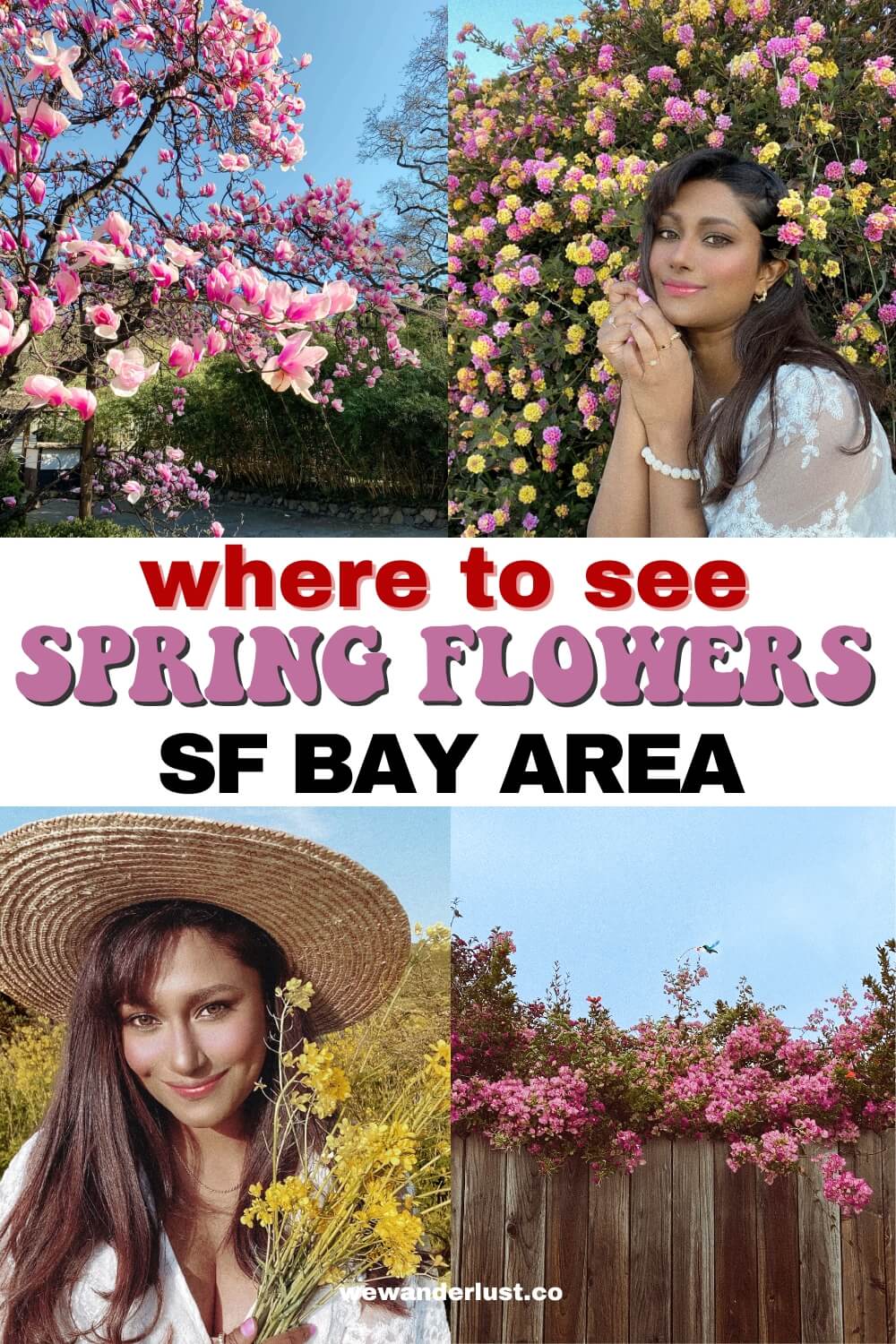 collage of spring flowers in sf bay area