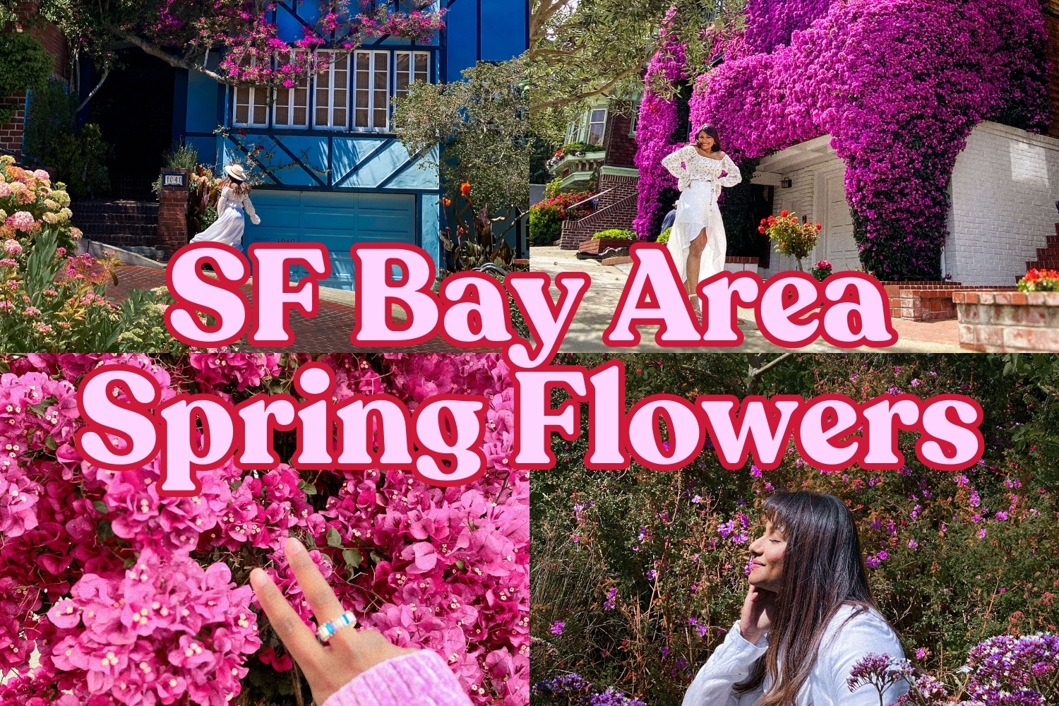 Where To See Spring Flowers in the Bay Area? No. 4 is our Favorite!