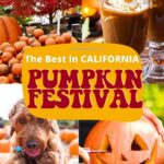 Half Moon Bay Pumpkin Festival: 8 Top Things To Do