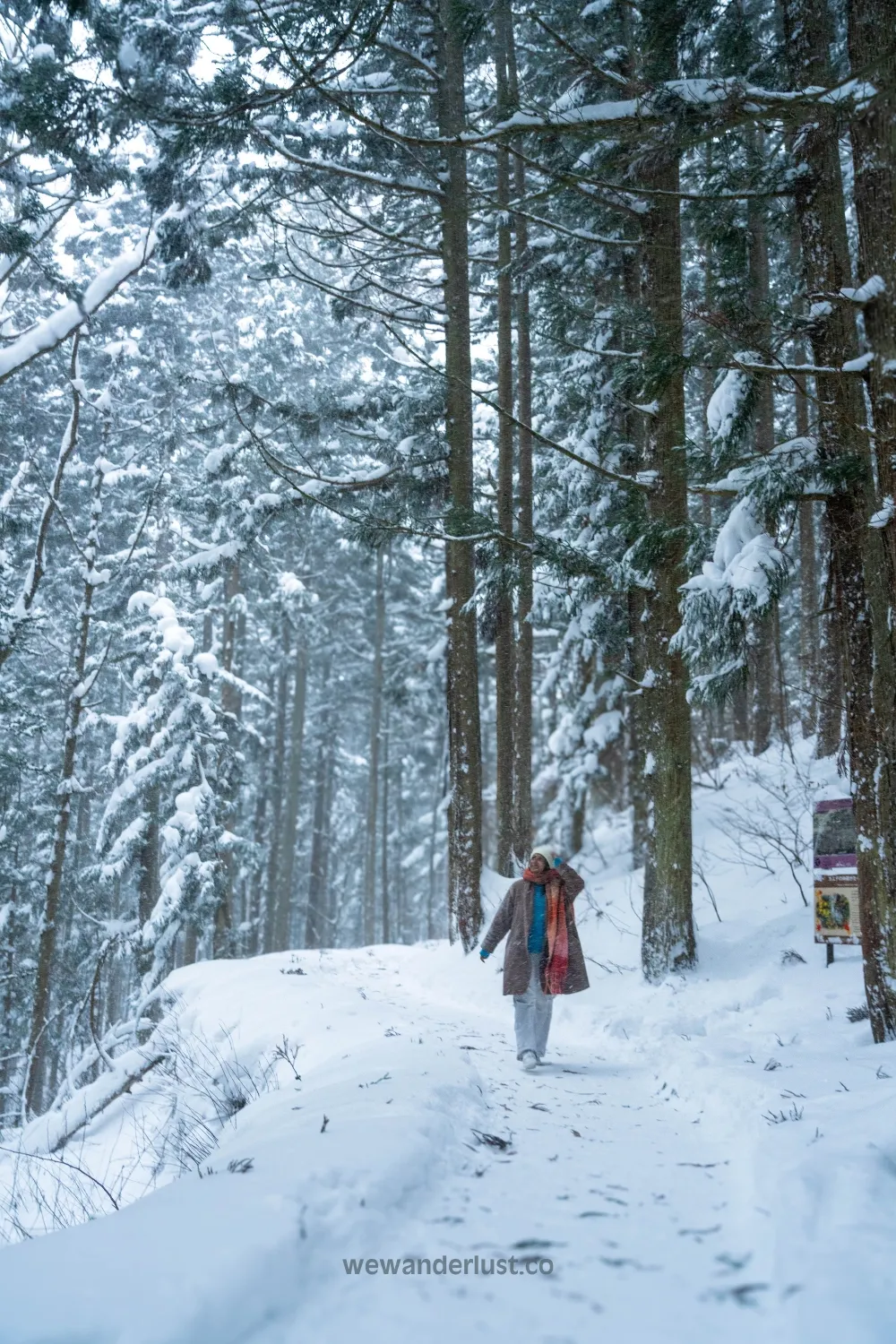 beautiful woman walking in snow