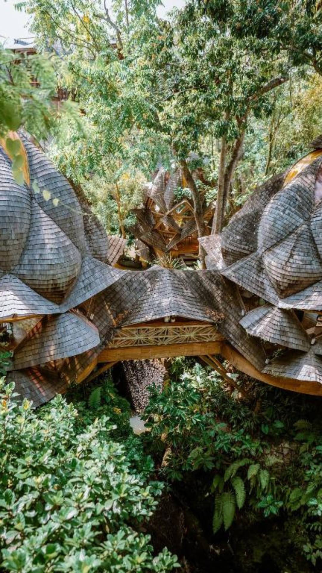 luxury hotels in bali