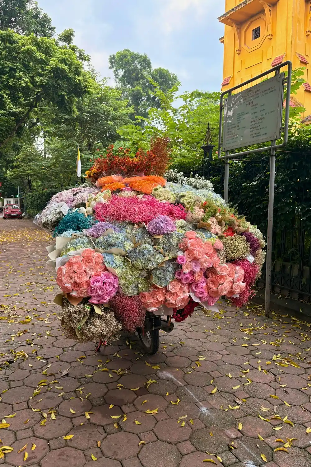 Phan Dinh Phung flower bicycle