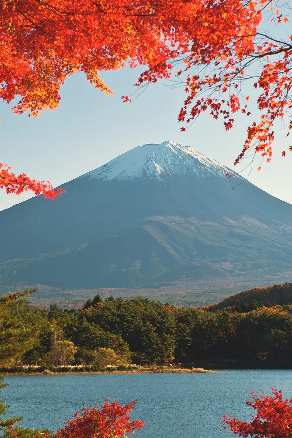 mt fuji in japan