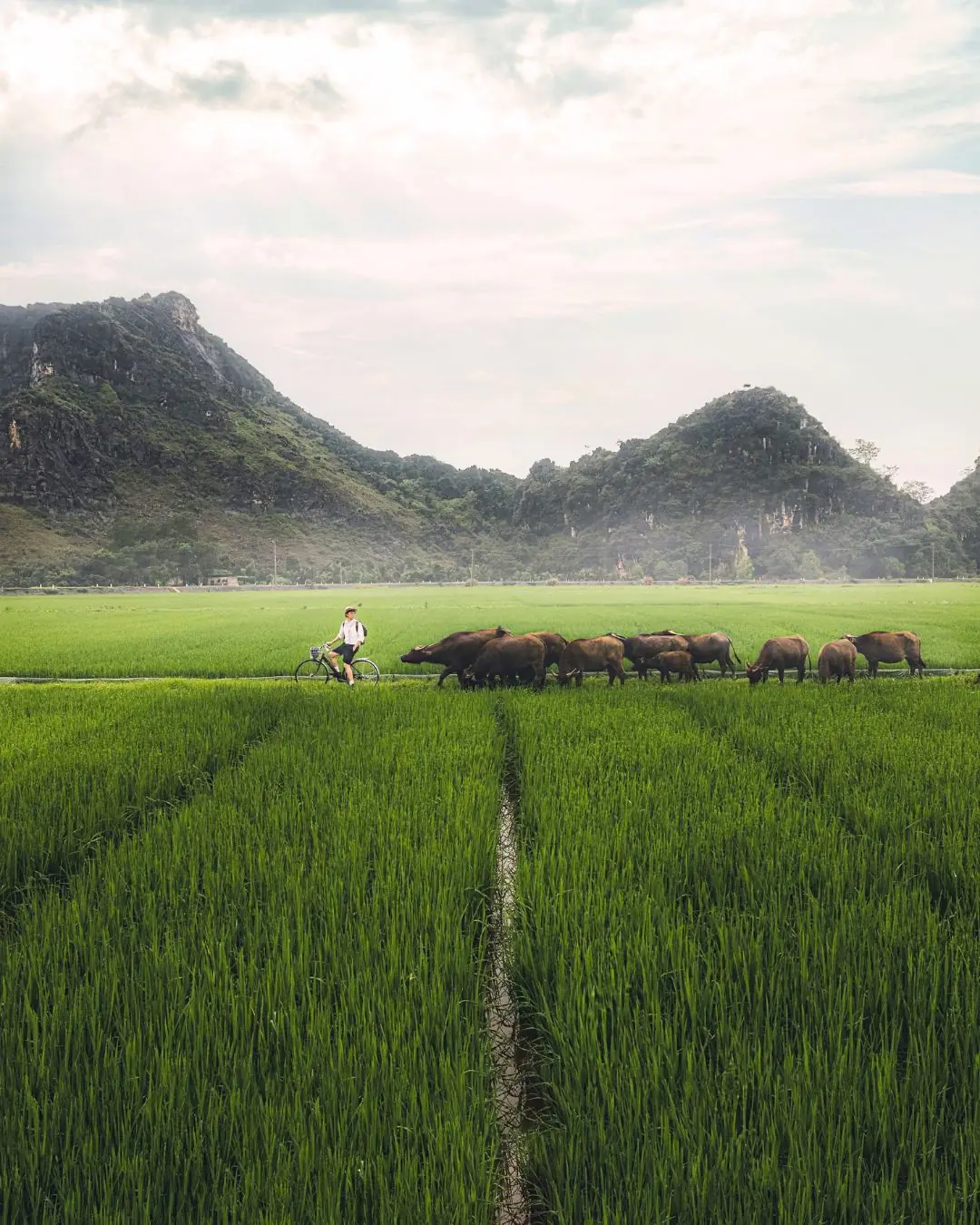 best things to do in ninh binh