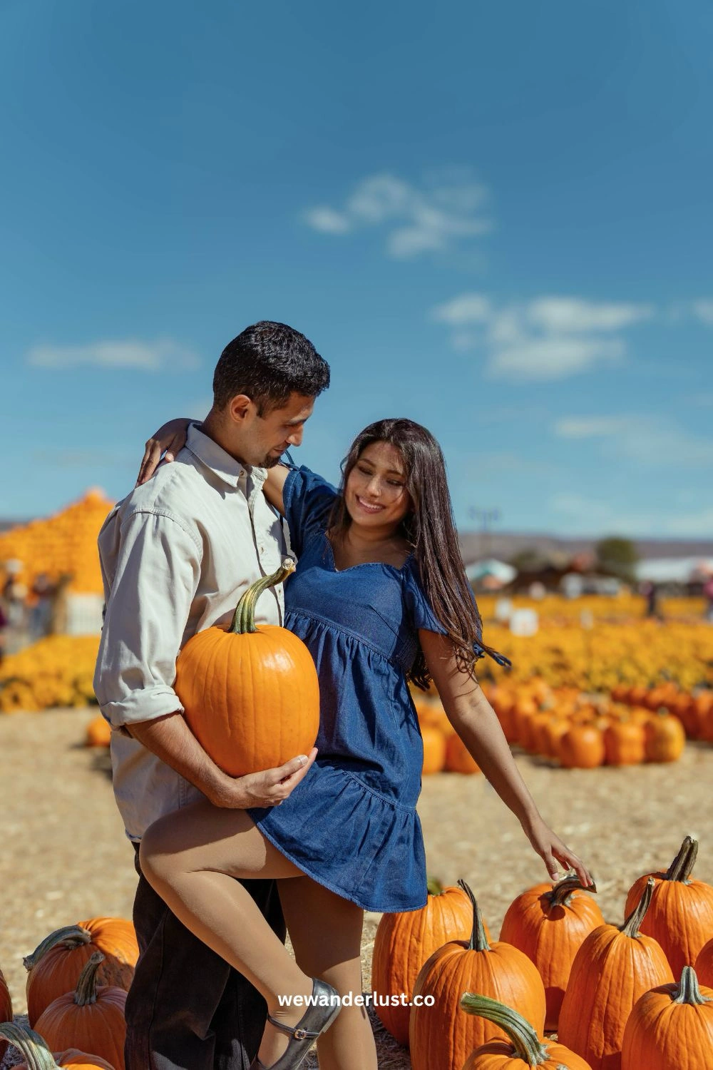 Spina Farms Pumpkin Patch