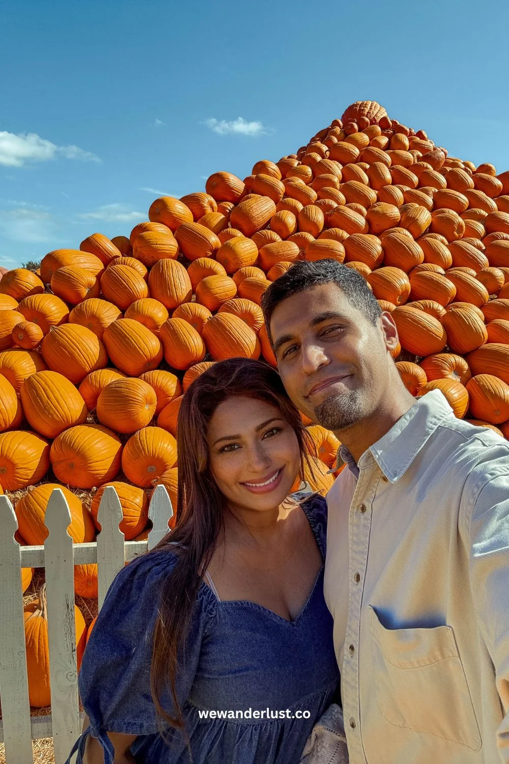 Spina Farms Pumpkin Patch Morgan Hill